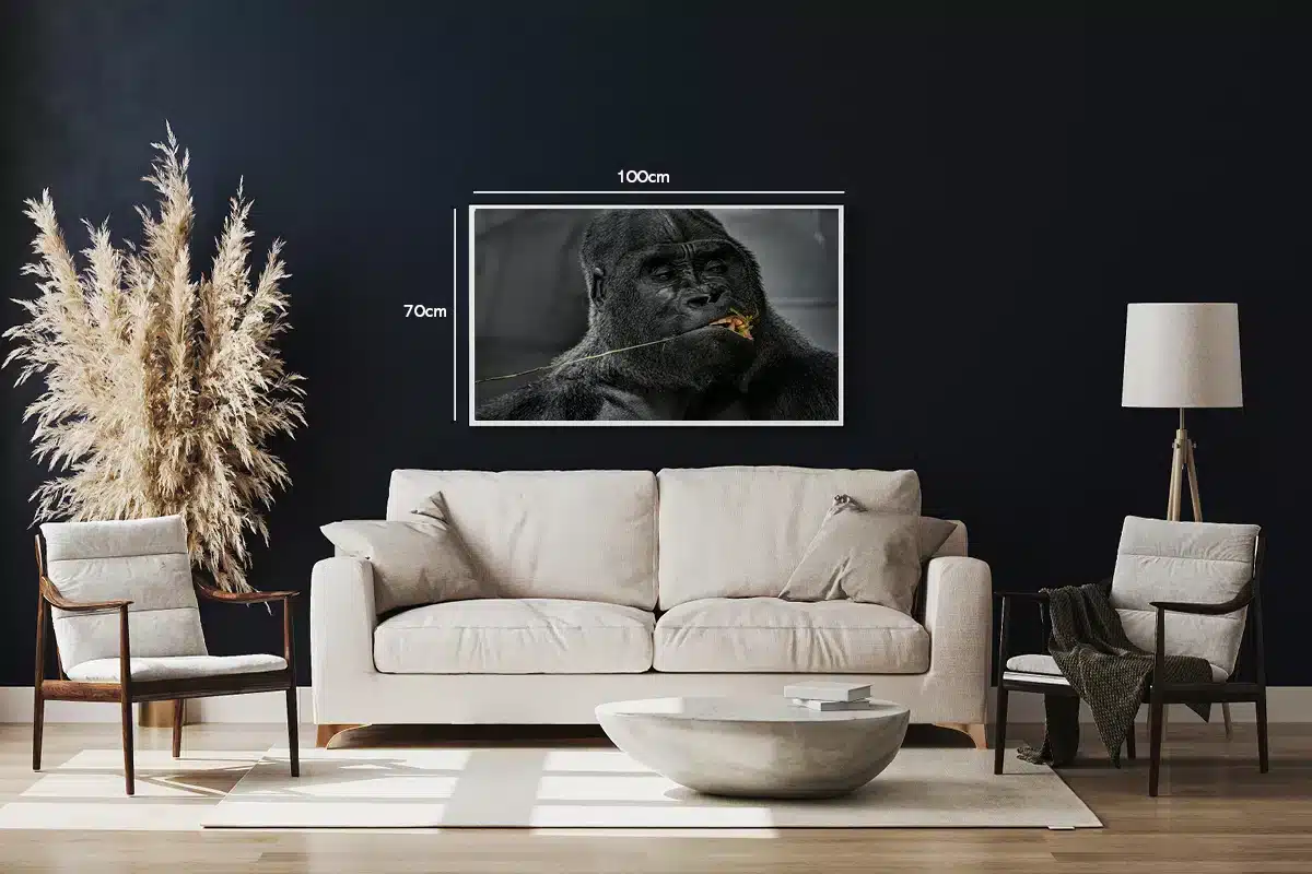 Silverback Gorilla Eating Plakat