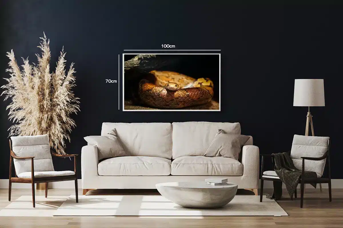 Corn Snake Plakat