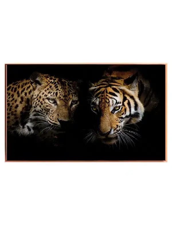 Leopard And Tiger Plakat