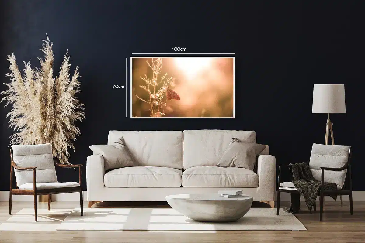 Butterfly Backlit Plakat
