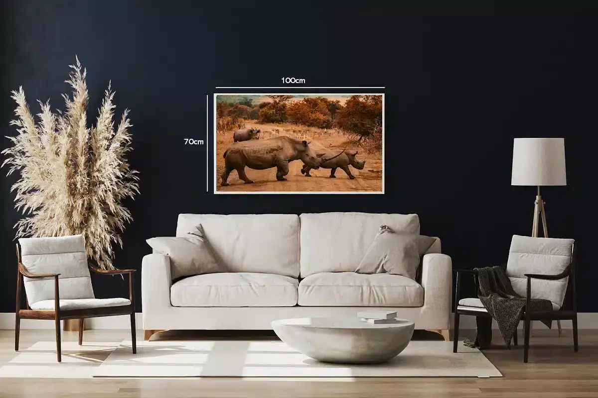 Rhino Crossing Plakat