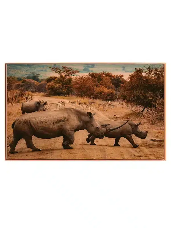 Rhino Crossing Plakat