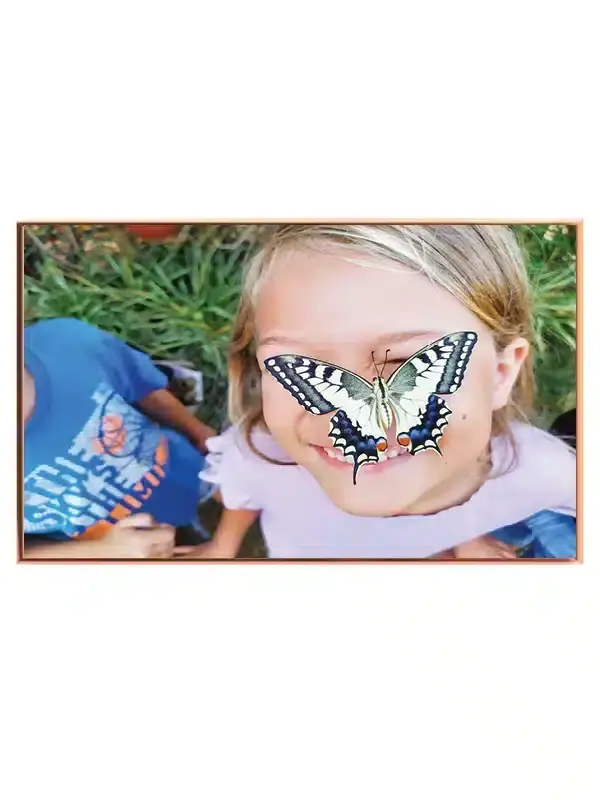 Swallowtail Butterfly Plakat