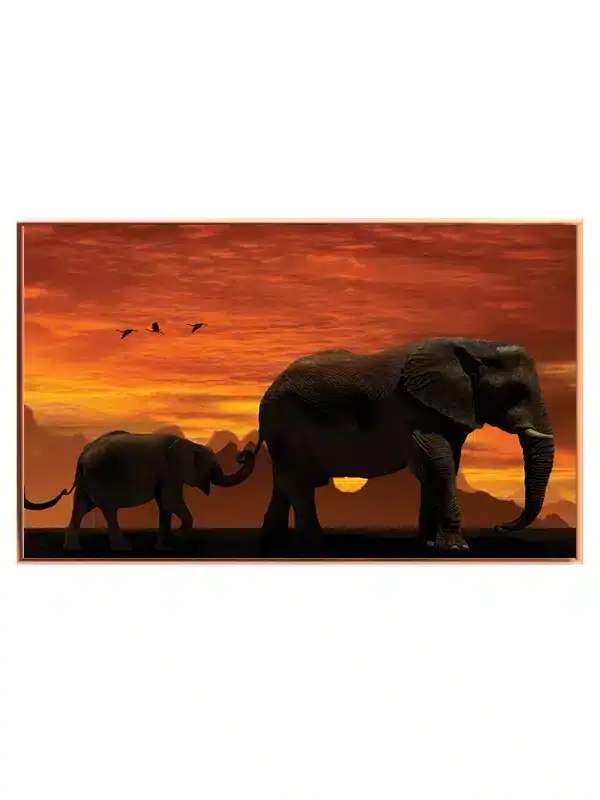 Elephant Sunset Plakat