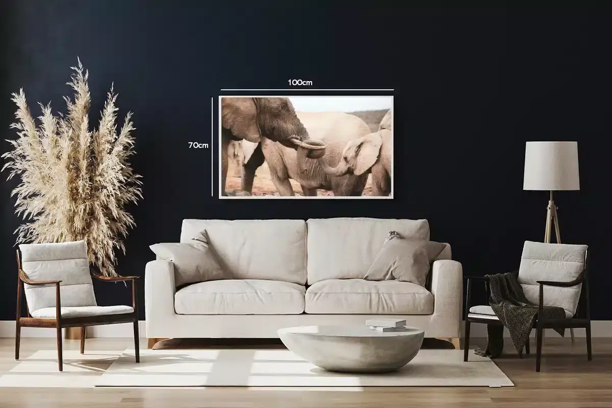 Elephant Family Interaction Plakat
