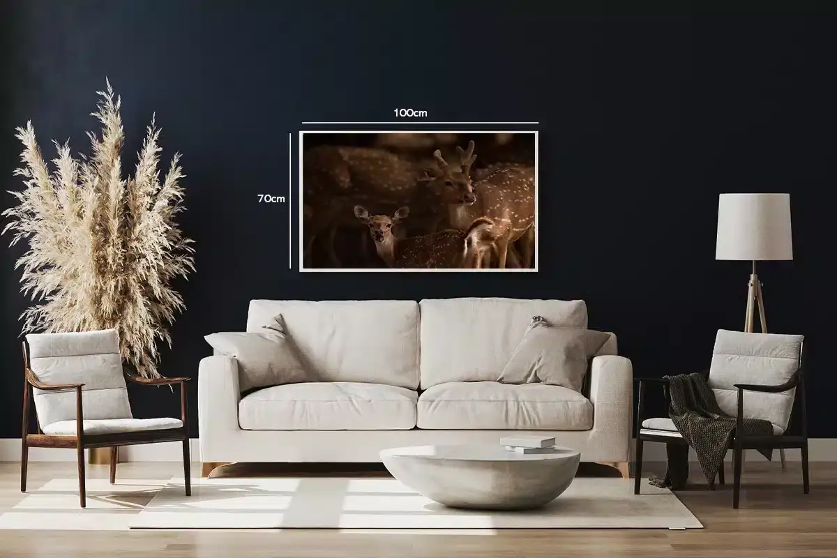 Axis Deer Plakat