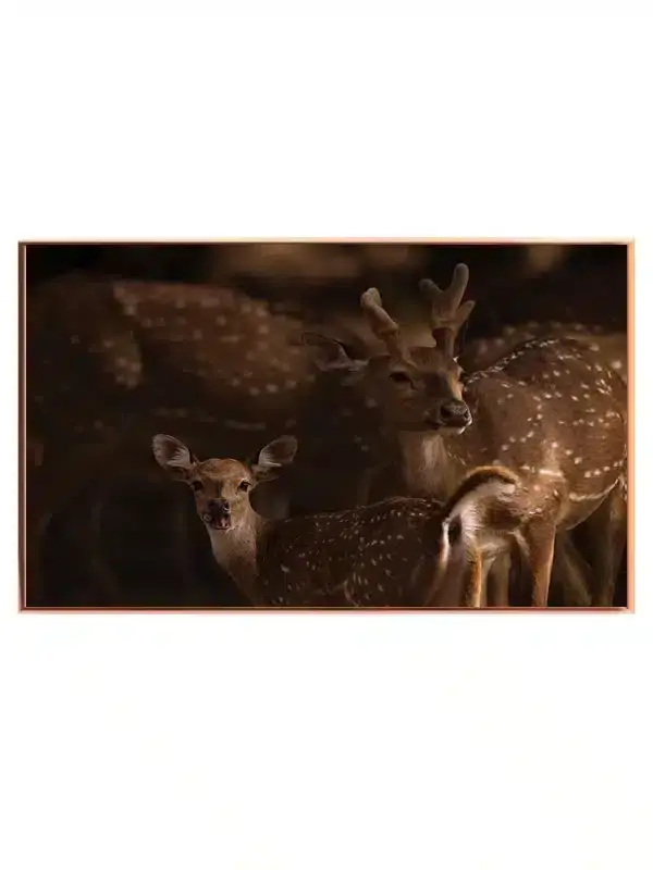 Axis Deer Plakat