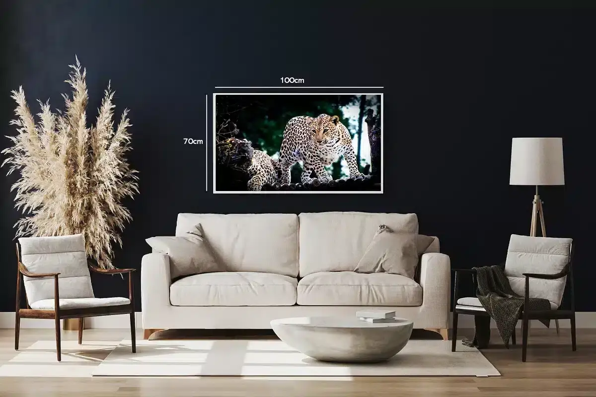 Leopard Pair Plakat