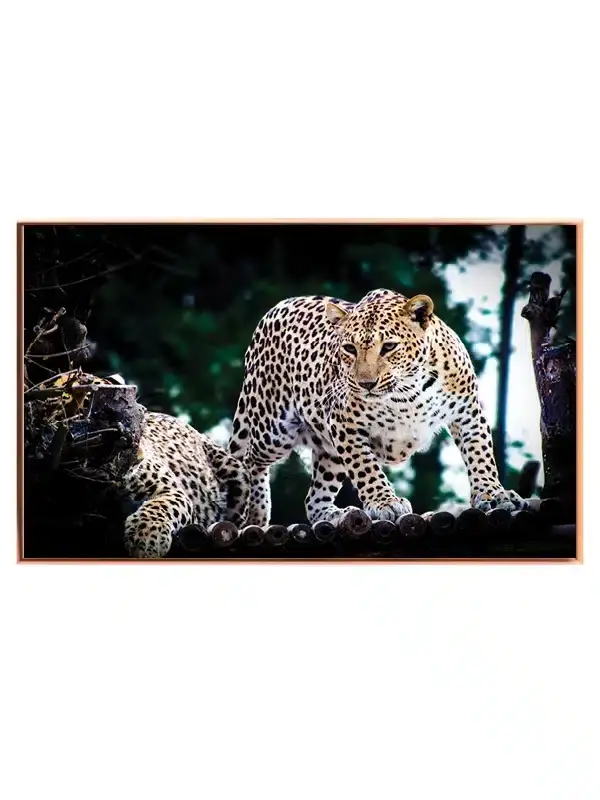 Leopard Pair Plakat