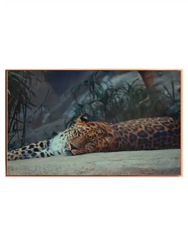 Kat Resting Jaguar Plakat