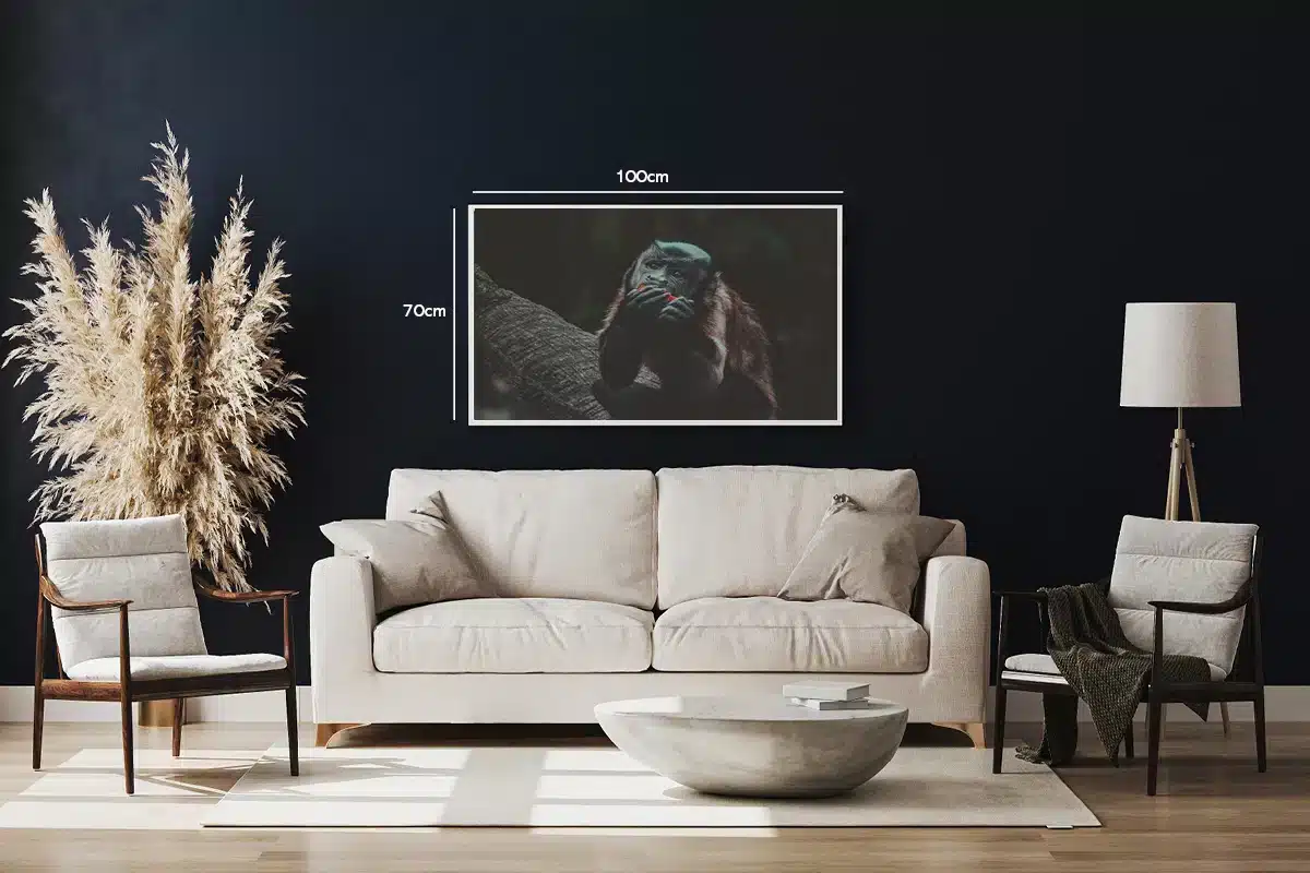 Capuchin Monkey Plakat