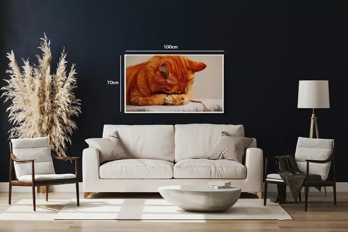 Ginger Cat Resting Plakat