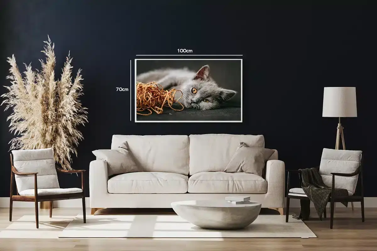 British Shorthair Cat Plakat
