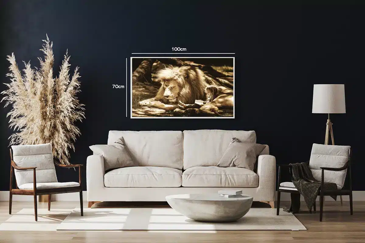 Lion Resting I Plakat