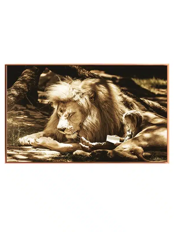 Lion Resting I Plakat
