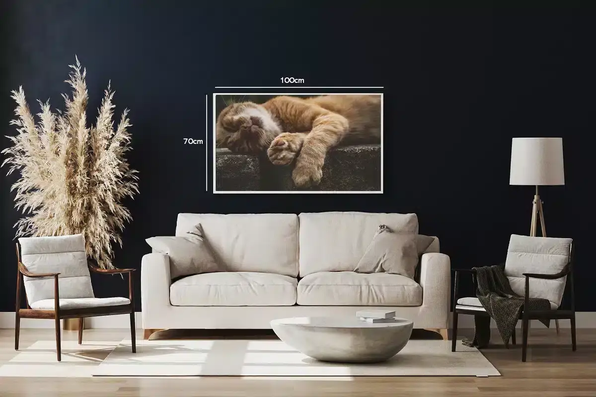 Sleeping Ginger Cat Plakat