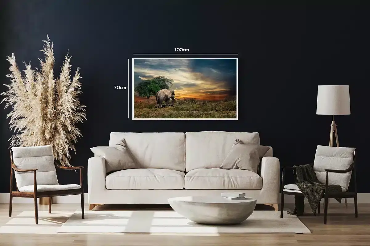 Elephant At Plakat