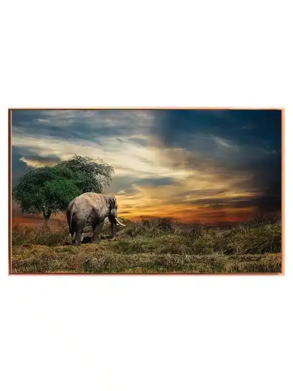 Elephant At Plakat