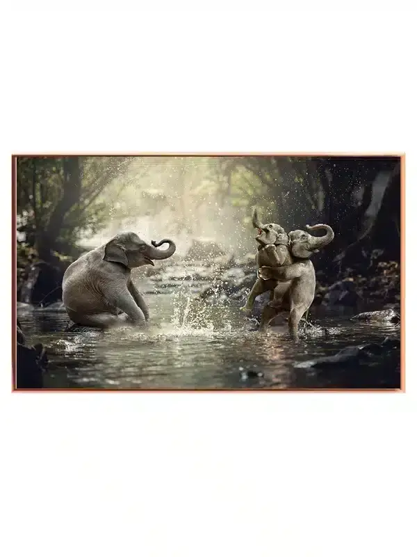 Elephants Playing Plakat