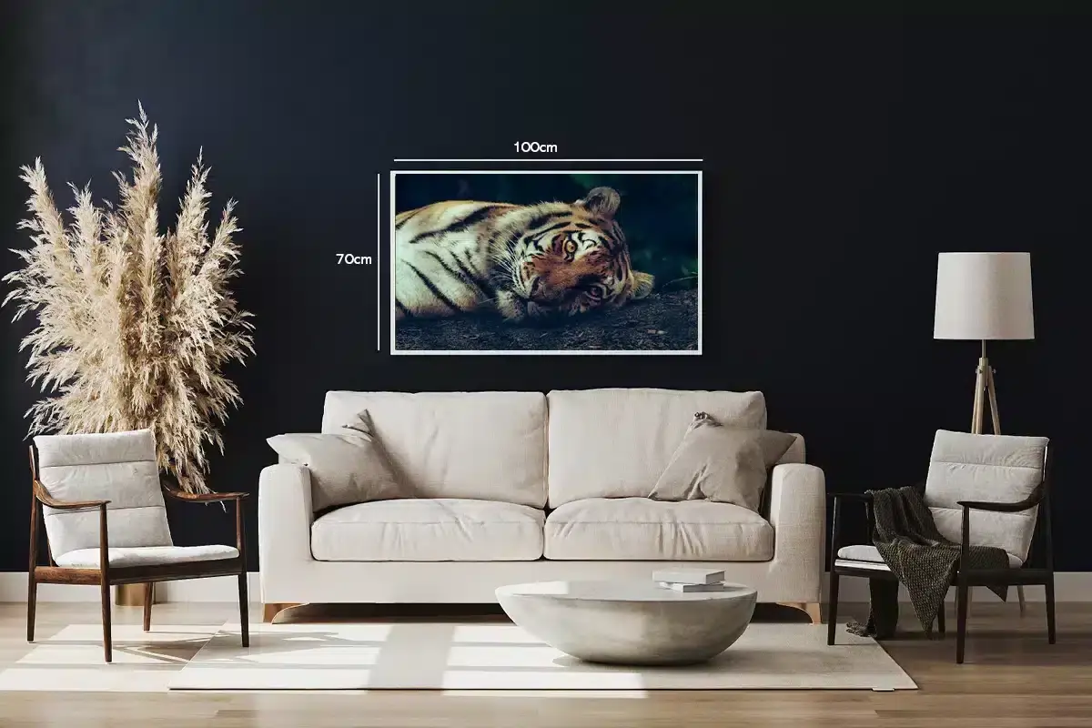 Resting Tiger Plakat