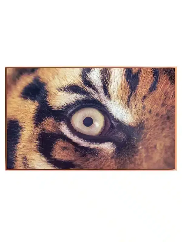 Tiger Eye Plakat