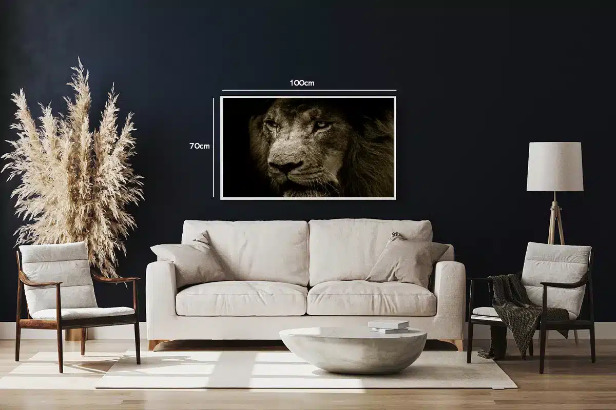 Lion Closeup Plakat