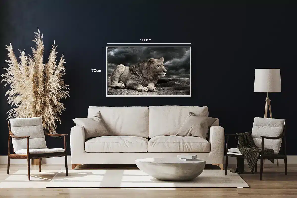 Lioness Resting Plakat