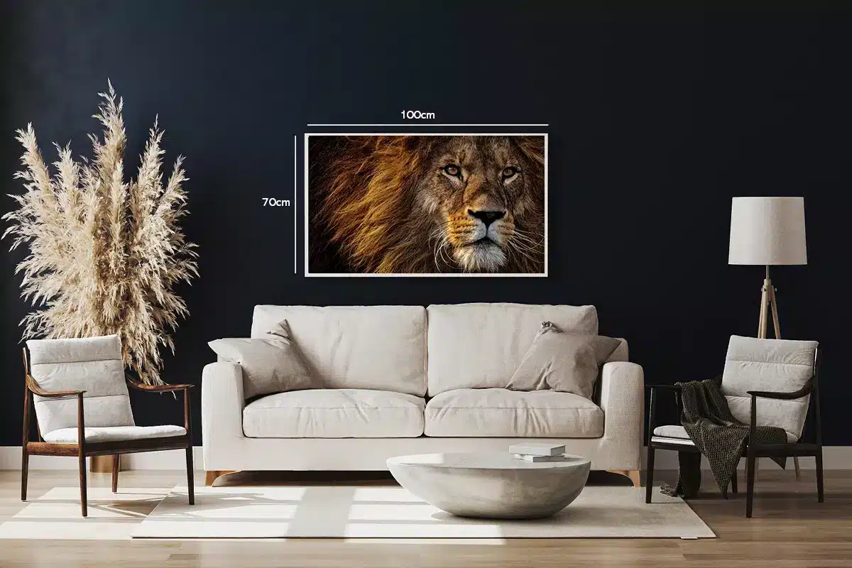 Lion Face Closeup Plakat