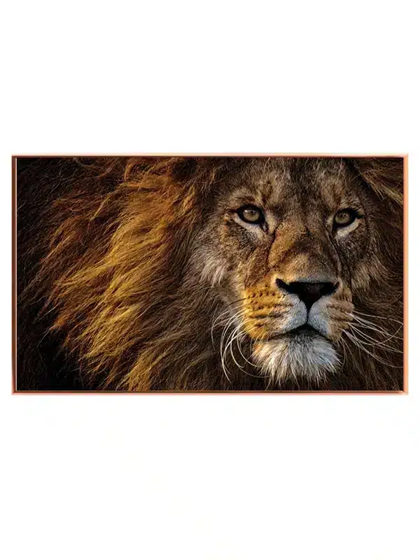 Lion Face Closeup Plakat