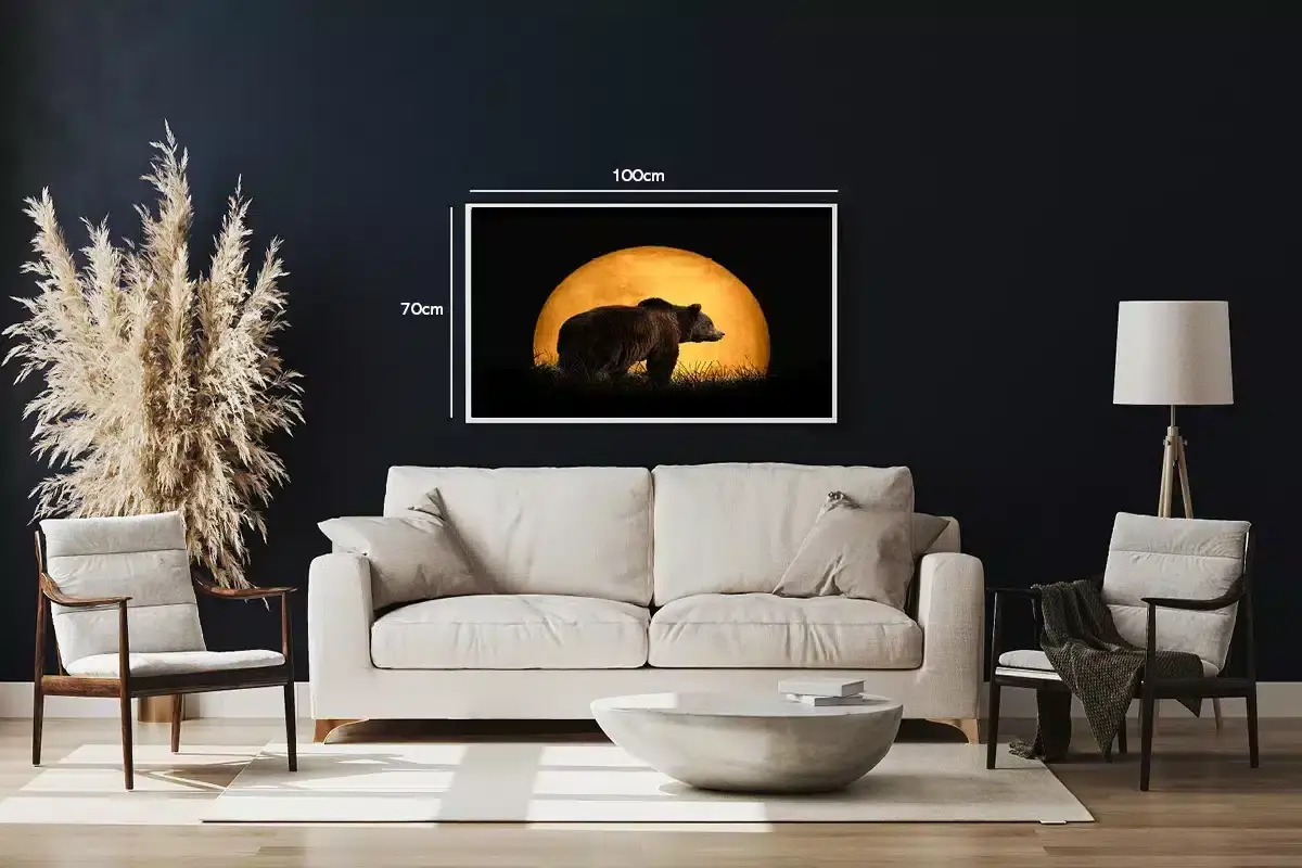 Brown Bear Moonlight Plakat