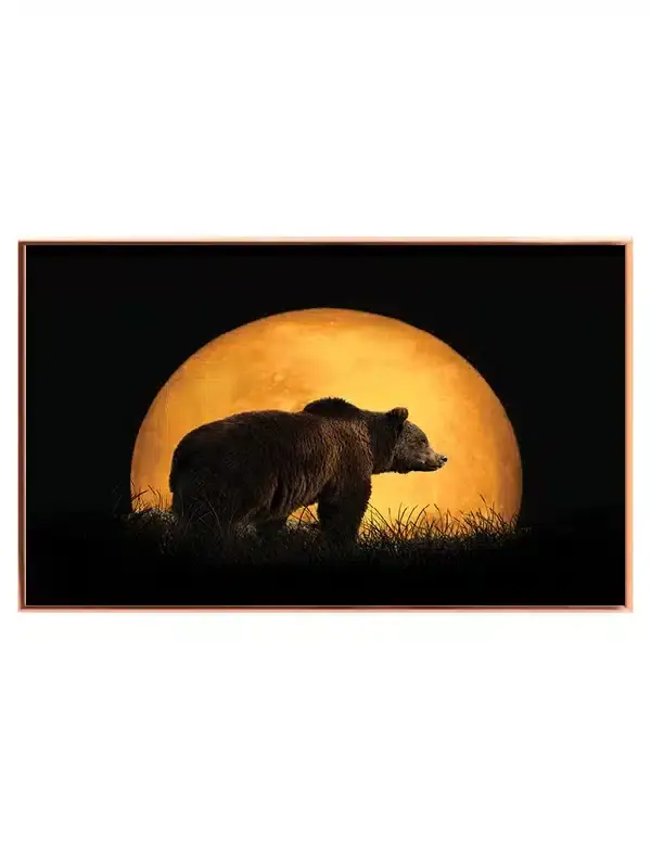Brown Bear Moonlight Plakat