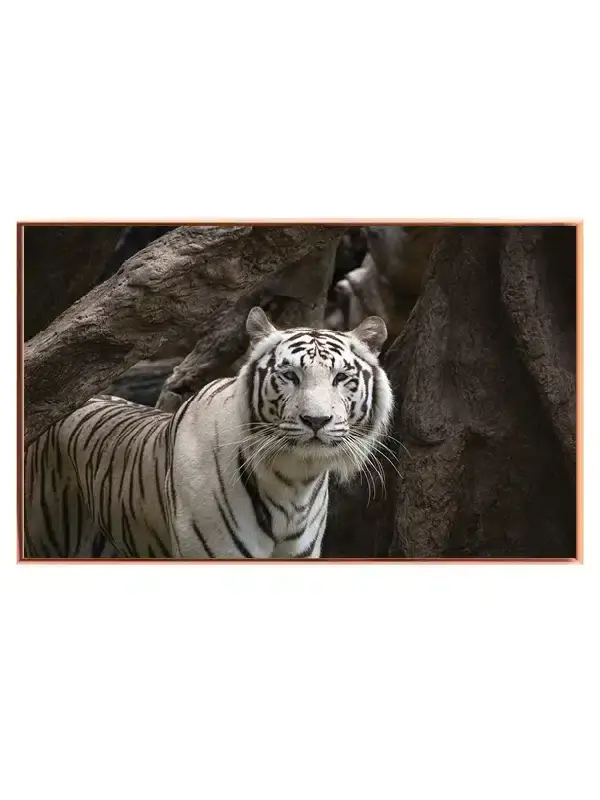White Tiger Forest Plakat