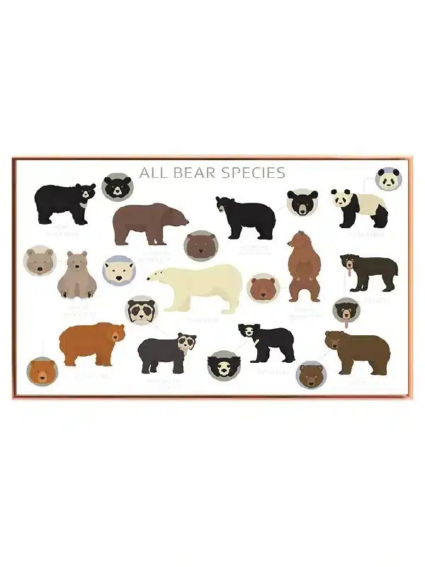 All Bear Plakat