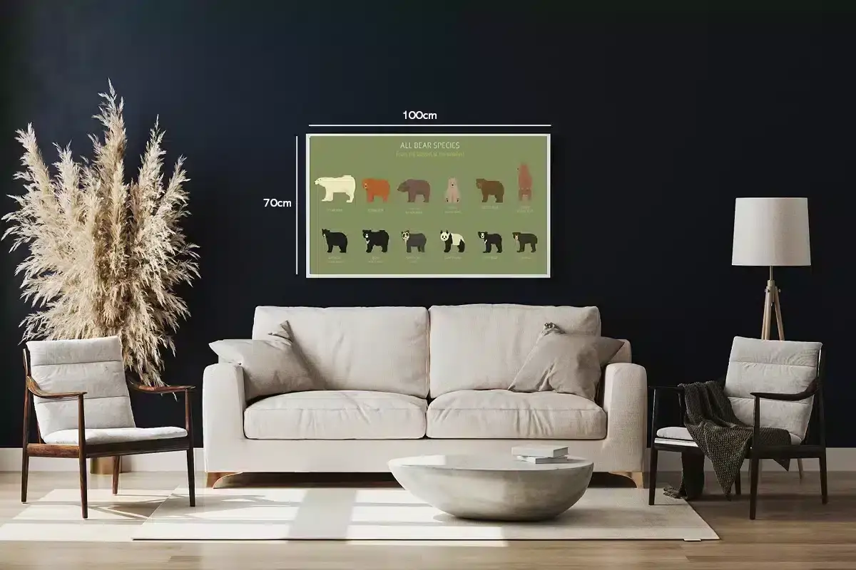 Bear Species Chart Plakat