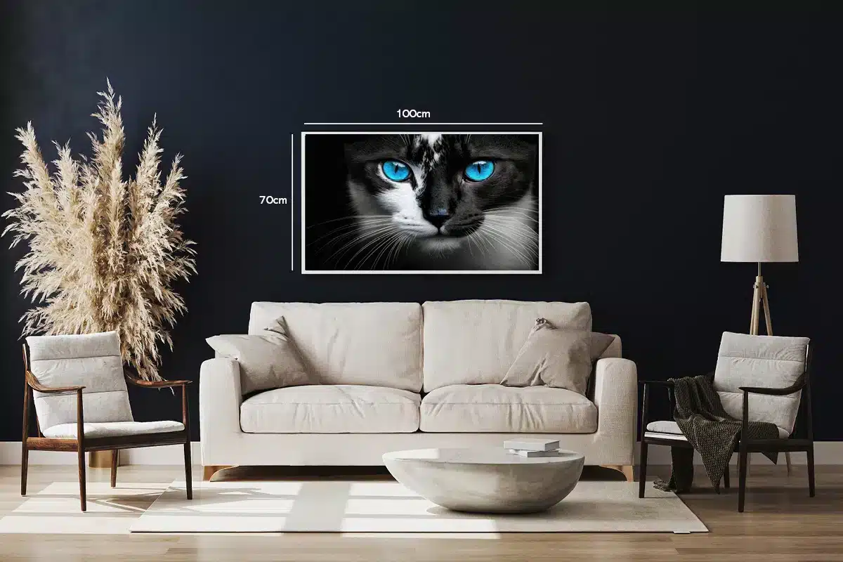 Cat Blue Eyes Plakat