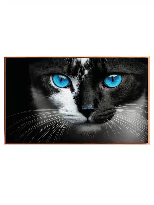 Cat Blue Eyes Plakat