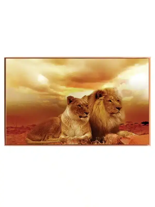 Lion Couple Sunset Plakat