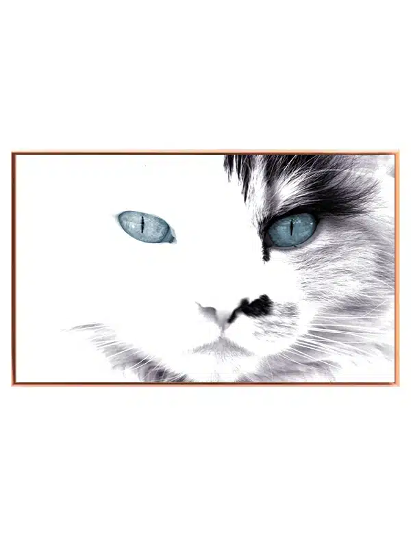 Blue Eyed No2 Plakat
