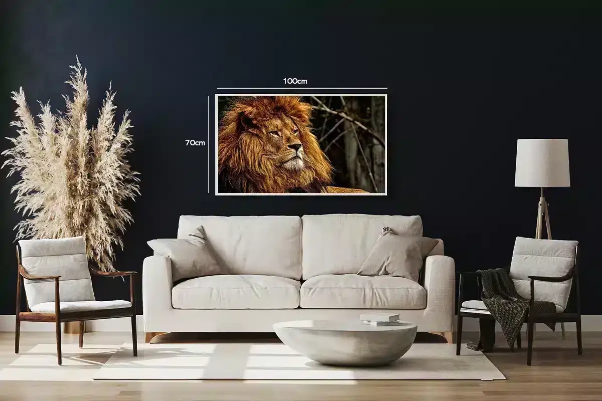 Majestic Lion Plakat