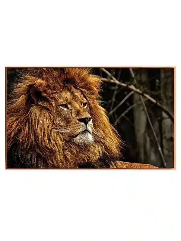 Majestic Lion Plakat