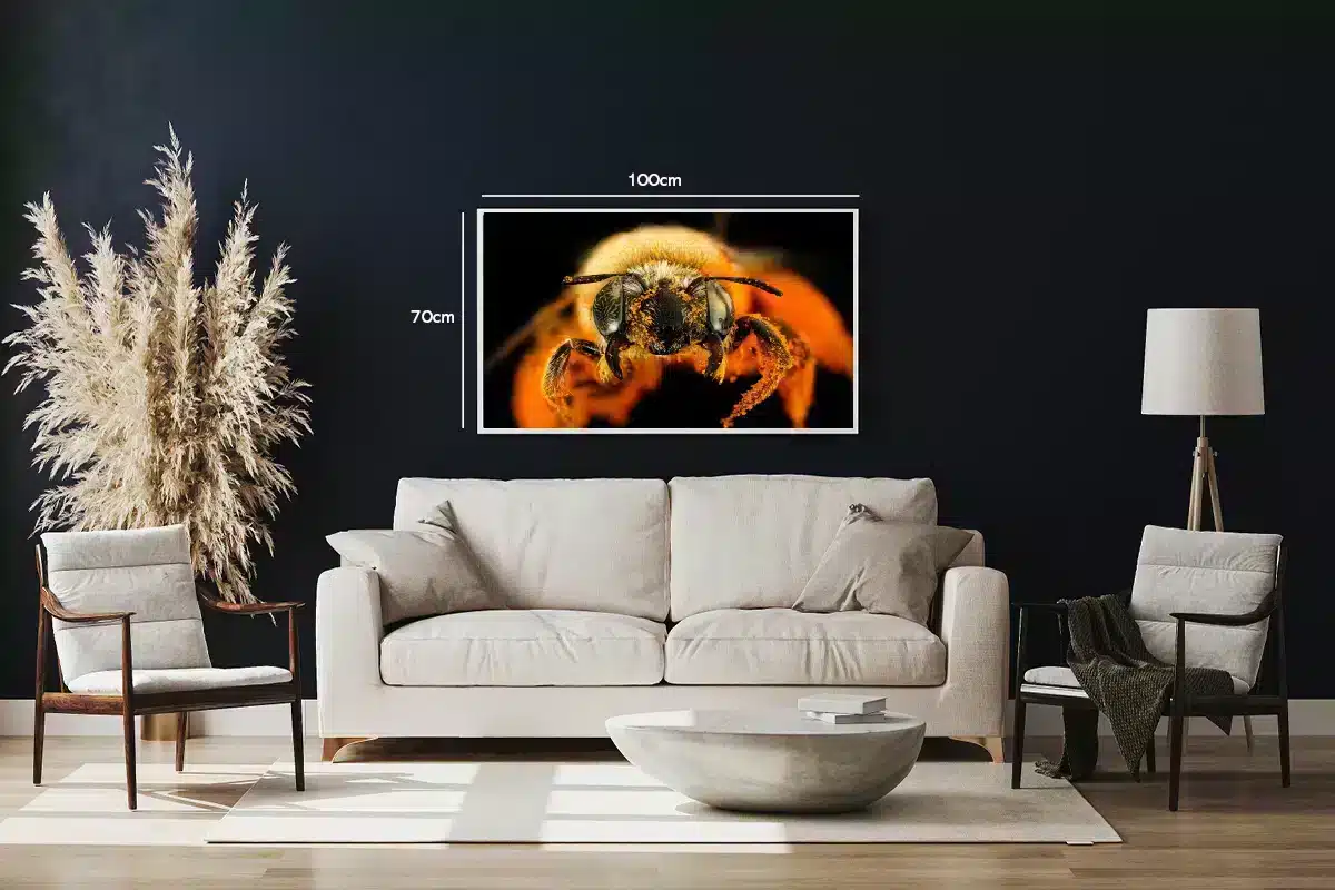 Honey Bee Plakat