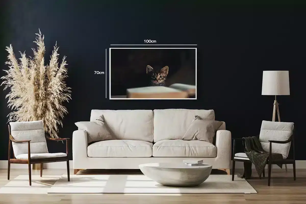 Tabby Kitten Plakat
