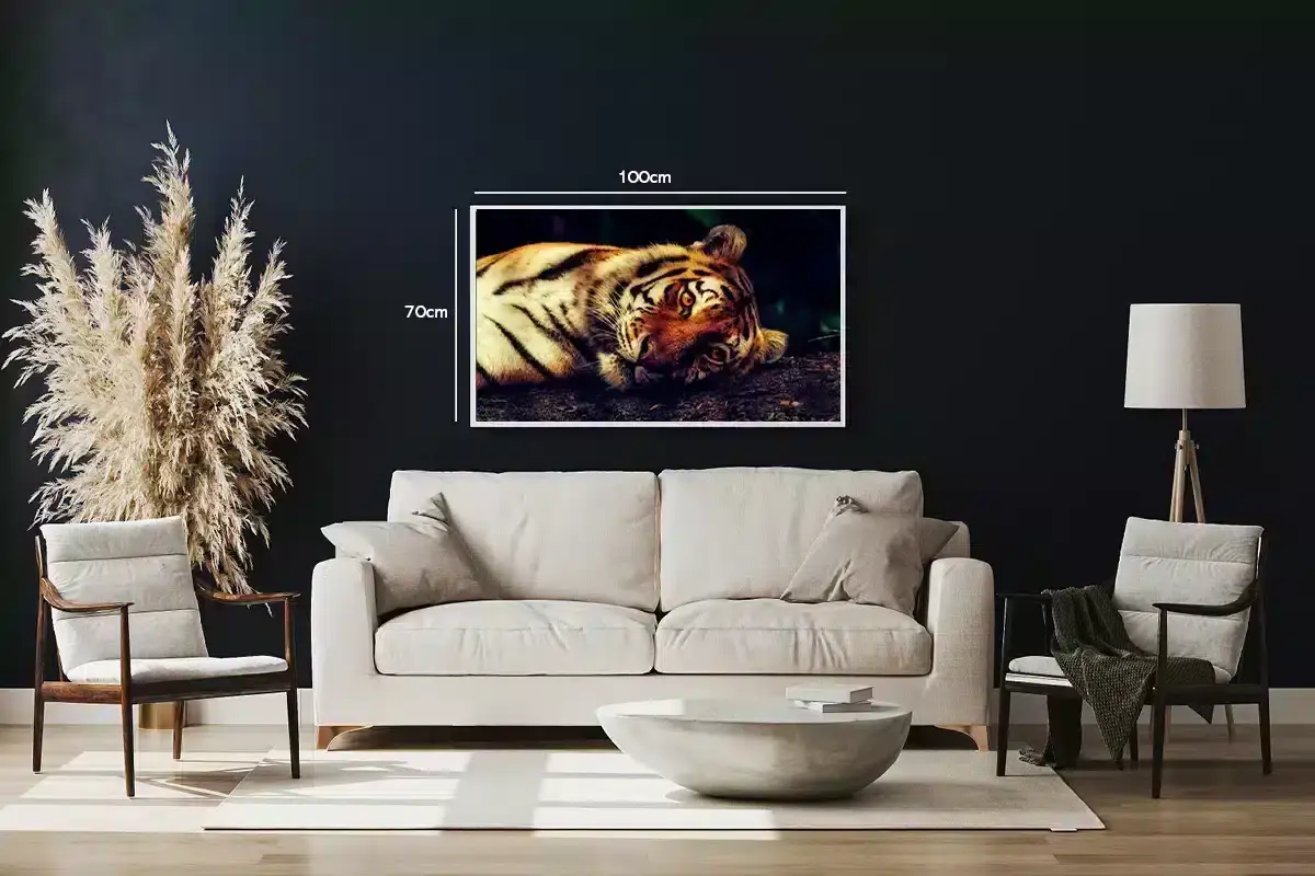 Tiger Lying Down Plakat