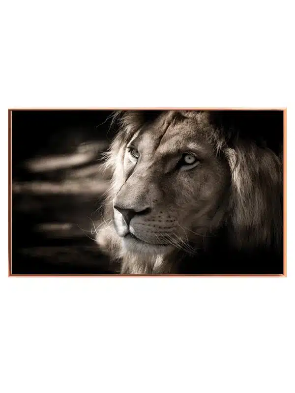 Lion Portrait I Plakat
