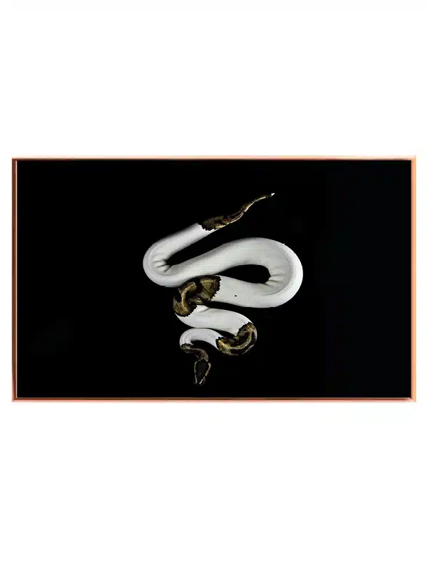 Ko White Plakat