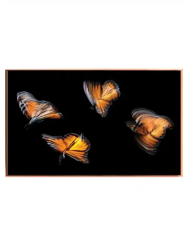 Monarch Butterfly No2 Plakat