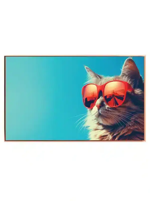 Cat With Sunglasses Plakat