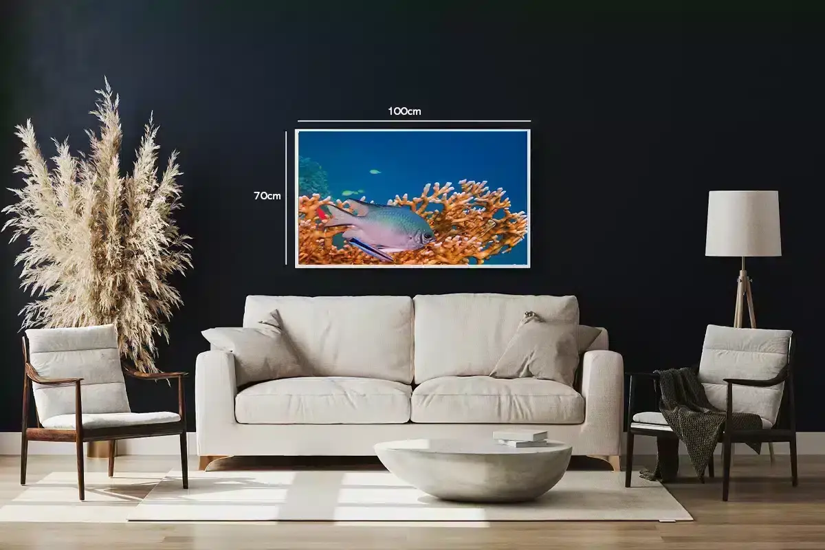 Coral Reef Fish No2 Plakat