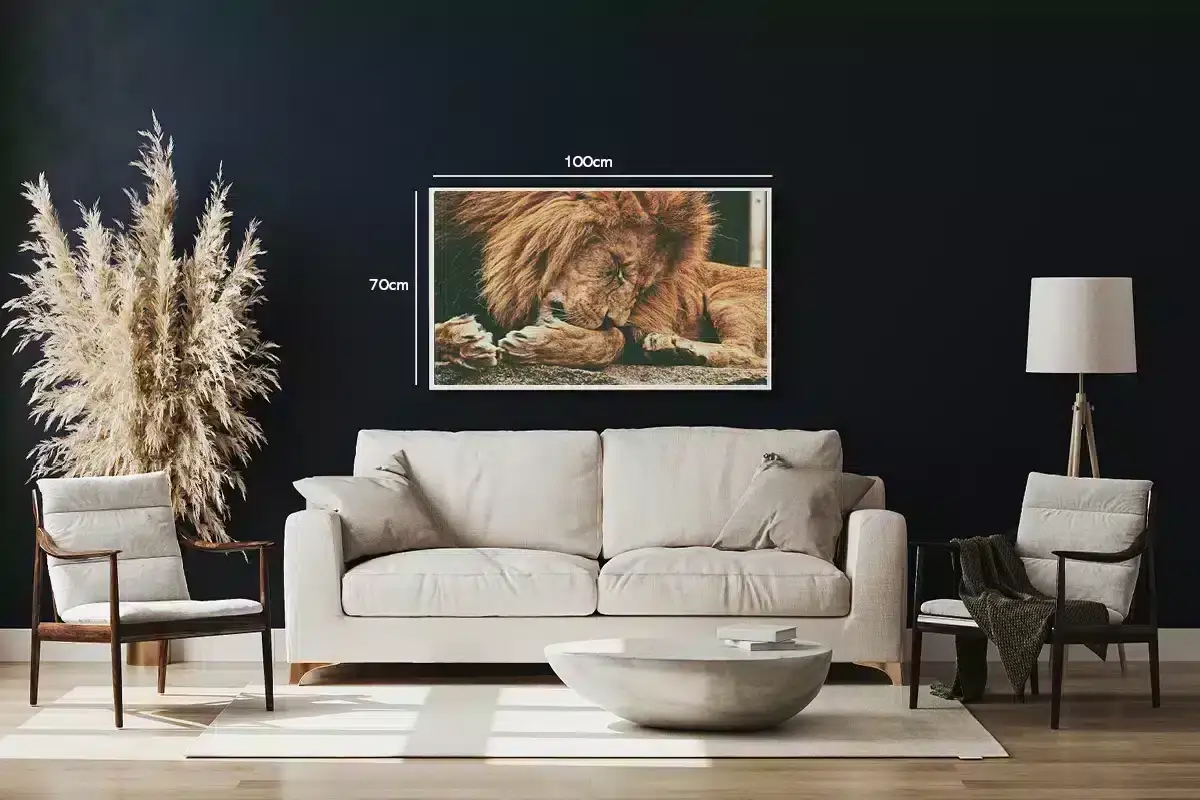 Sleeping Lion Plakat