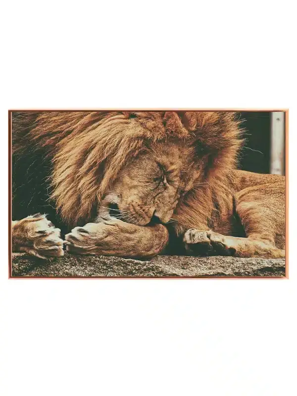 Sleeping Lion Plakat